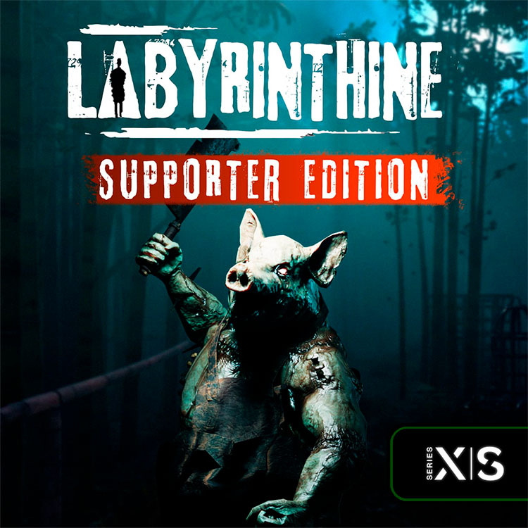 Labyrinthine_Supporter_Xbox_Series_X|S_КлючКодXbox_Series_X|S